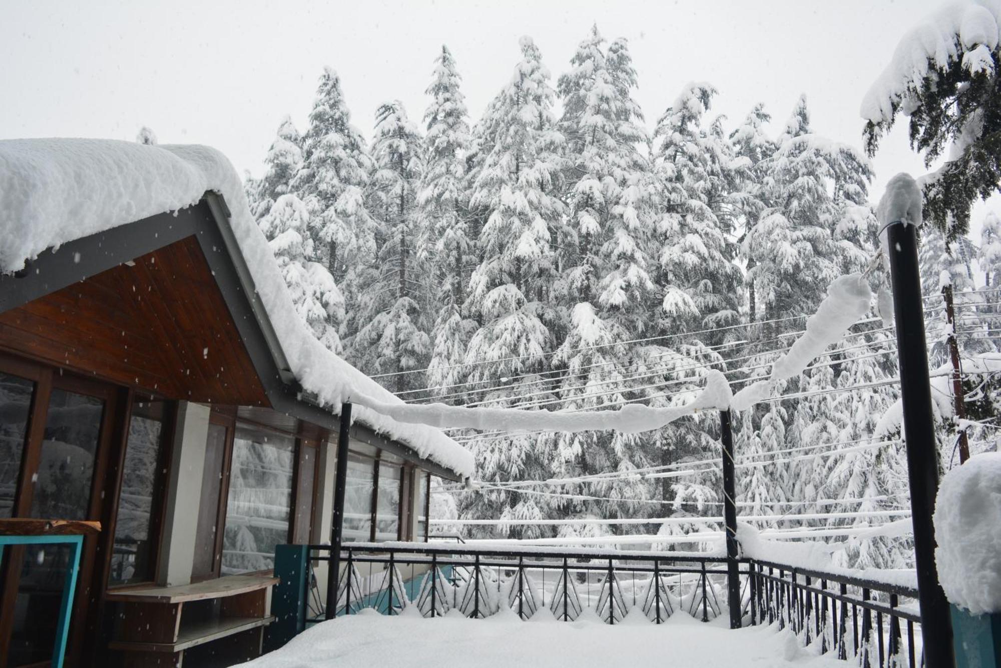The Neelgiris Hotel Manali  Luaran gambar