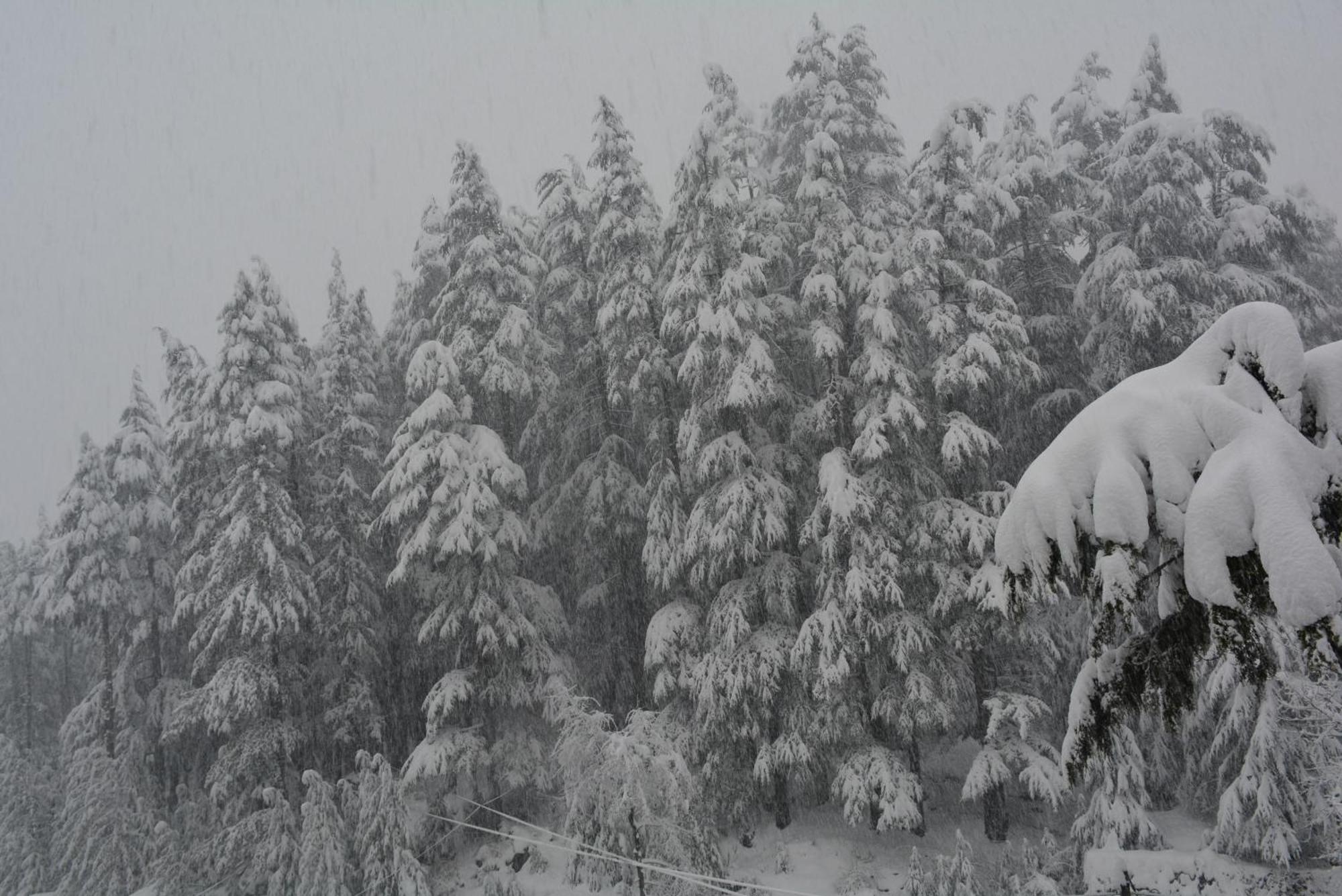 The Neelgiris Hotel Manali  Luaran gambar