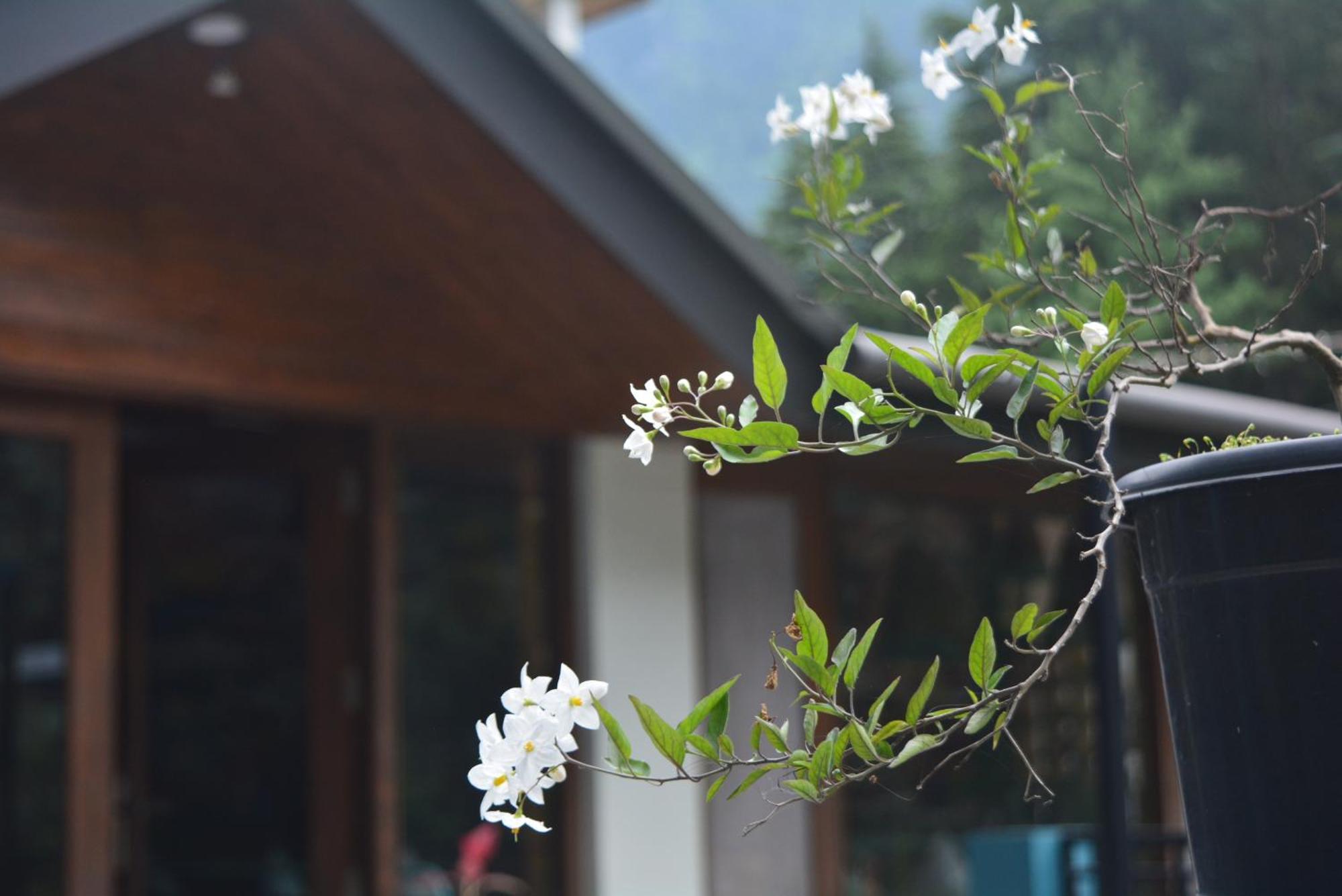 The Neelgiris Hotel Manali  Luaran gambar